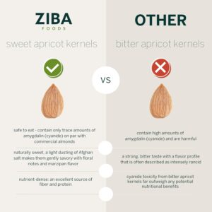 Ziba-Foods-Sweet-Apricot-Kernels-5.3-oz-Non-GMO-Vegan-Dried-Apricot-Seeds-Whole-30-Friendly-Keto-Paleo-Dry-Roasted-Superseed-Wild-Grown-Apricot-Kernel-High-In-Protein-and-Omega-3s.jpg
