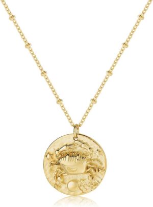 Zodiac Coin Embossed Choker Necklace Disc 12 Constellation Astrology Horoscope 14K Gold Plated Round Pendant Personalized Necklace Gift for Women Men